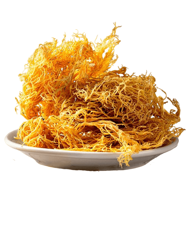 Sea Moss